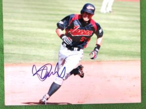 WBC アーカイブ - SPORTS GALLERY USA