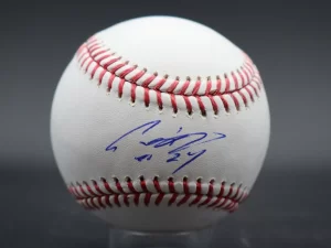 鈴木誠也選手＃27 SEIYA SUZUKI シカゴカブス直筆サインMLB公式ボール PSA/DNA鑑定証付き